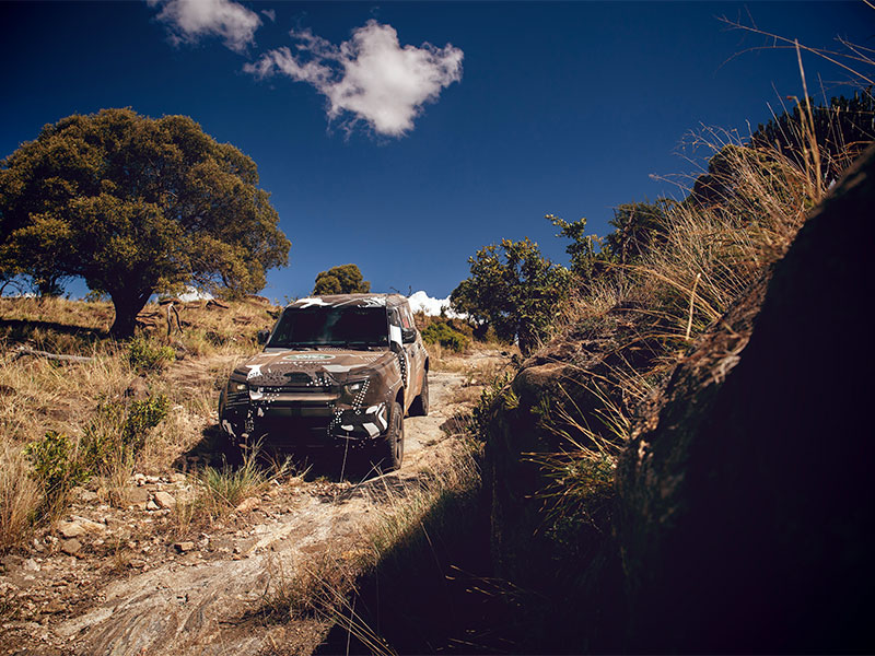 إتمام تجربة لاند روڤر ديفندر الجديدة مع "تسك" لدعم جهود الحفاظ على الأسود في كينيا